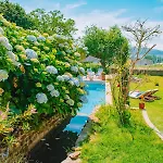 Spot Dos Limoes - Seixas Countryside