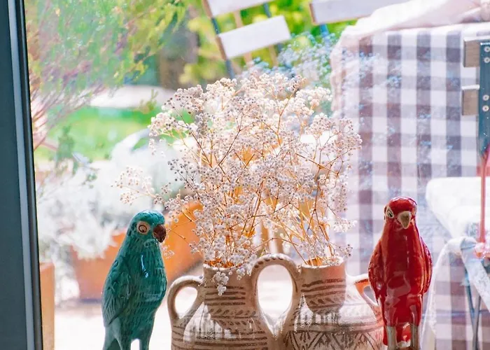 Spot Dos Limoes - Seixas Countryside